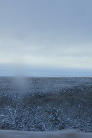 New Camera Dec2010 215